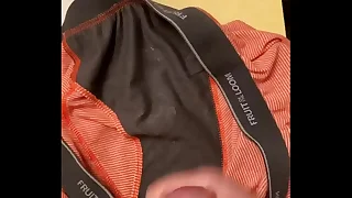 1142 bear porn videos